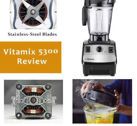 vitamix-5300-review